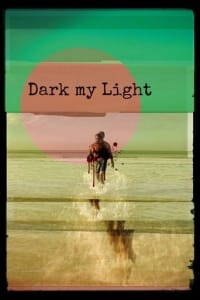 Poster for the movie "Dark My Light"